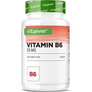 Vit4ever - Vitamine B6 - 365 Tabletten - Hooggedoseerd - Veganistisch
