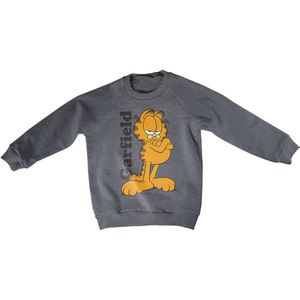 Garfield Kids Sweatshirt Kinder Dark-Heather-4 Jahre