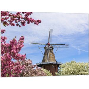 Vlag - Bloesembomen voor Traditione Molen in Nederland - 100x75 cm Foto op Polyester Vlag