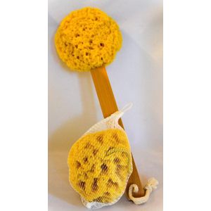 badspons en spons op steel