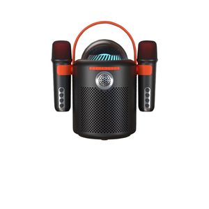 Woegel karaoke set A5 – Draadloze Bluetooth Party Speaker – met TF-kaart – oplaadbare accu – draadloze micro – 2 microfoons – zwart