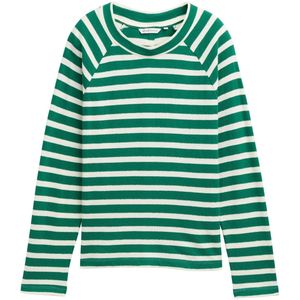 TOM TAILOR Denim T-shirt met lange mouwen voor dames, 37163 - Groen Wit Streep, L
