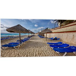 WallClassics - PVC Schuimplaat- Blauwe Ligbedden op Strand met Rieten Parasols - 100x50 cm Foto op PVC Schuimplaat
