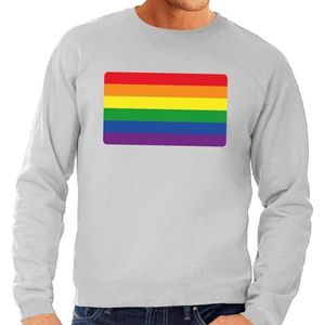 Gay pride regenboog vlag sweater grijs - homo/regenboog sweater voor heren - gay pride L