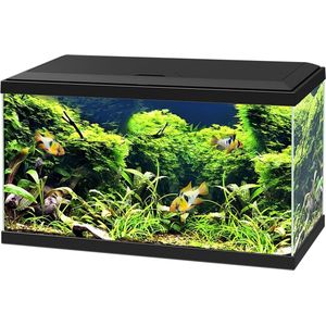 Ciano Aquarium 60 Led Cf80 60x30x34 cm - Aquaria - Zwart - 58L