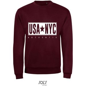 Sweatshirt 359-11 USA-NYC - Drood, xL