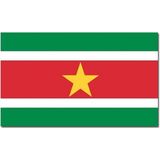2x stuks vlag Suriname 90 x 150 cm feestartikelen - Suriname landen thema supporters