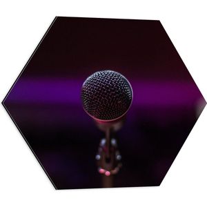 Dibond Hexagon - Close-up van Microfoon op Podium - 50x43.5 cm Foto op Hexagon (Met Ophangsysteem)