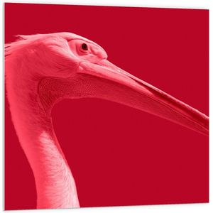 WallClassics - PVC Schuimplaat - Roze vogel met Lange Snavel en Roze Achtergrond - 100x100 cm Foto op PVC Schuimplaat (Met Ophangsysteem)