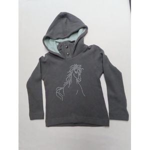 Trui - Meisje - Grijst - Met kap - Paard - 6 jaar 116