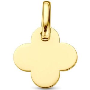 Hanger Klavertje 14K Geelgoud