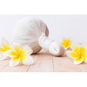 DSB - 10x Kruidenstempels Malima neutraal (200 gram) + pak hygiënehoesjes voor stempel (4 stuks)