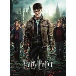 Puzzel Harry Potter (300 stukjes) - Ravensburger