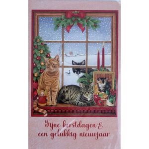 8 Dubbele Kerstkaarten met enveloppen - Poezen voor raam - Francien katten