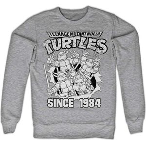 Teenage Mutant Ninja Turtles - Distressed Since 1984 Sweater/trui - S - Grijs