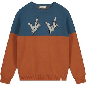 Smitten Organic - Jaquard Flying Dinos Jumper