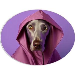 PVC Schuimplaat Ovaal - Portret van Bruine Duitse Dog Hond in Roze Regenjas - 56x42 cm Foto op Ovaal (Met Ophangsysteem)