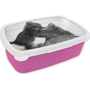 Broodtrommel Roze - Lunchbox - Brooddoos - Kat knuffelend met kitten - zwart wit - 18x12x6 cm - Kinderen - Meisje