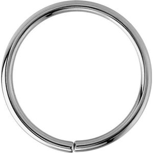 Lucardi Dames Helixpiercing ring - Piercing - Cadeau - Staal - Zilverkleurig