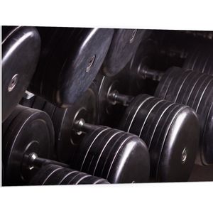 PVC Schuimplaat - Foto van Rek Vol Dumbells in Sportschool - 100x75 cm Foto op PVC Schuimplaat (Met Ophangsysteem)