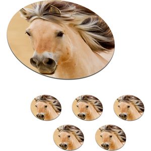 Onderzetters voor glazen - Rond - Paarden - Dieren - Manen - Portret - 10x10 cm - Glasonderzetters - 6 stuks