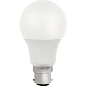VITO LED Lamp A60 B22 - 9W (vervangt 60W) - 819lm - 6400K - 220-240V - Ø50mm - Energiezuinig