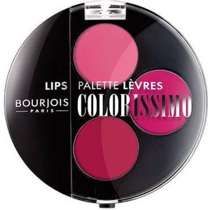 Bourjois Colorissimo Lip Palette Lippenstift - 02 Roses Muses