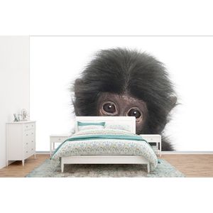Aap - Dieren - Natuur - Chimpansee - Behangpapier