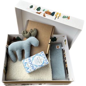 Baby cadeau meisje/jongen | Memory box | Kraamcadeau | babypakket | Origineel babycadeau blauw teddy | Lente kraampakket