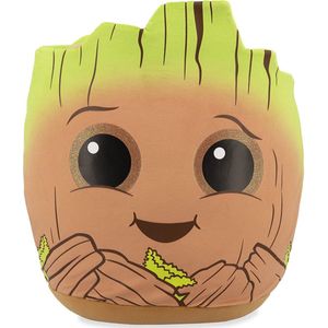 TY Groot Squish a Boo 20 cm