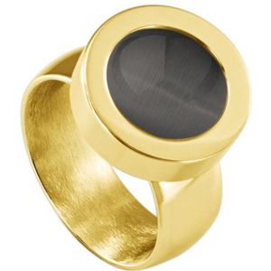 Quiges RVS Schroefsysteem Ring Goudkleurig Glans 17mm met Verwisselbare Cat's Eye Grijs 12mm Mini Munt