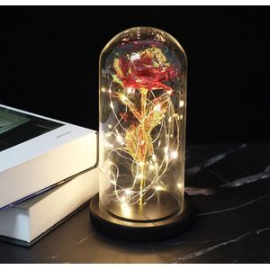 Beauty and The Beast | Roos in glas/stolp | Het ideale cadeau!
