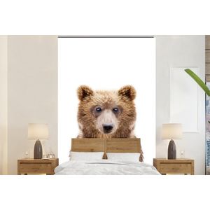 Beer - Bruin - Dieren - Natuur - Behangpapier
