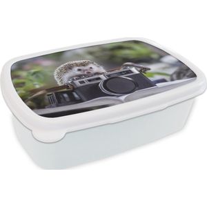 Broodtrommel Wit - Lunchbox - Brooddoos - Egel op een fototoestel - 18x12x6 cm - Volwassenen