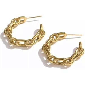 Oorbellen - Yehwang - Goud - Schakel oorbellen - Stainless steel sieraden