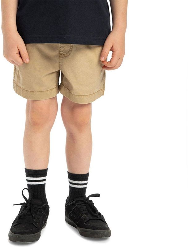 Quiksilver Taxer Ws Korte Broek Beige 3 Years Jongens