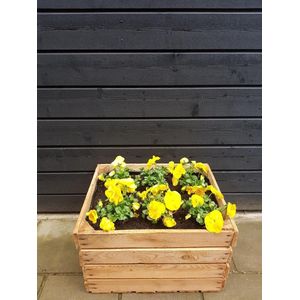 Bloembak | origineel fruitkist | Plantenbak 60 liter | 50x40x30 cm | doe-het-zelf | Planten | Voorjaarsbak | plantjes-kist | moestuin-krat