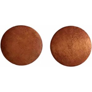 Oorbellen-Roest -Bruin- 2 cm -hout- stekers- Charme Bijoux