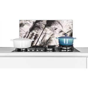 Spatscherm keuken 60x30 cm - Kookplaat achterwand Pampasgras - Zwart - Wit - Plant - Muurbeschermer - Spatwand fornuis - Hoogwaardig aluminium