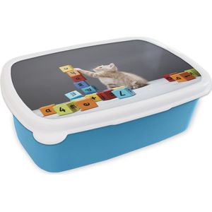 Broodtrommel Blauw - Lunchbox - Brooddoos - Een kitten speelt met gekleurde blokken - 18x12x6 cm - Kinderen - Jongen