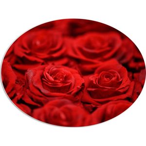 PVC Schuimplaat Ovaal - Bloemen - Rozen - Rood - 108x81 cm Foto op Ovaal (Met Ophangsysteem)