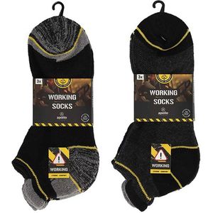 Apollo Werk Enkelsokken Heren Worker Sneakers 3-Pack