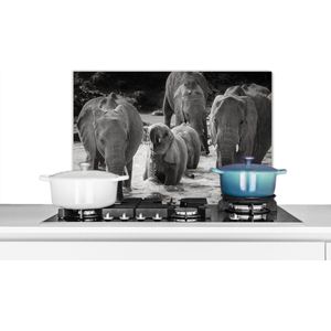 Spatscherm keuken 70x50 cm - Kookplaat achterwand Olifant - Dieren - Water - Zwart wit - Muurbeschermer - Spatwand fornuis - Hoogwaardig aluminium