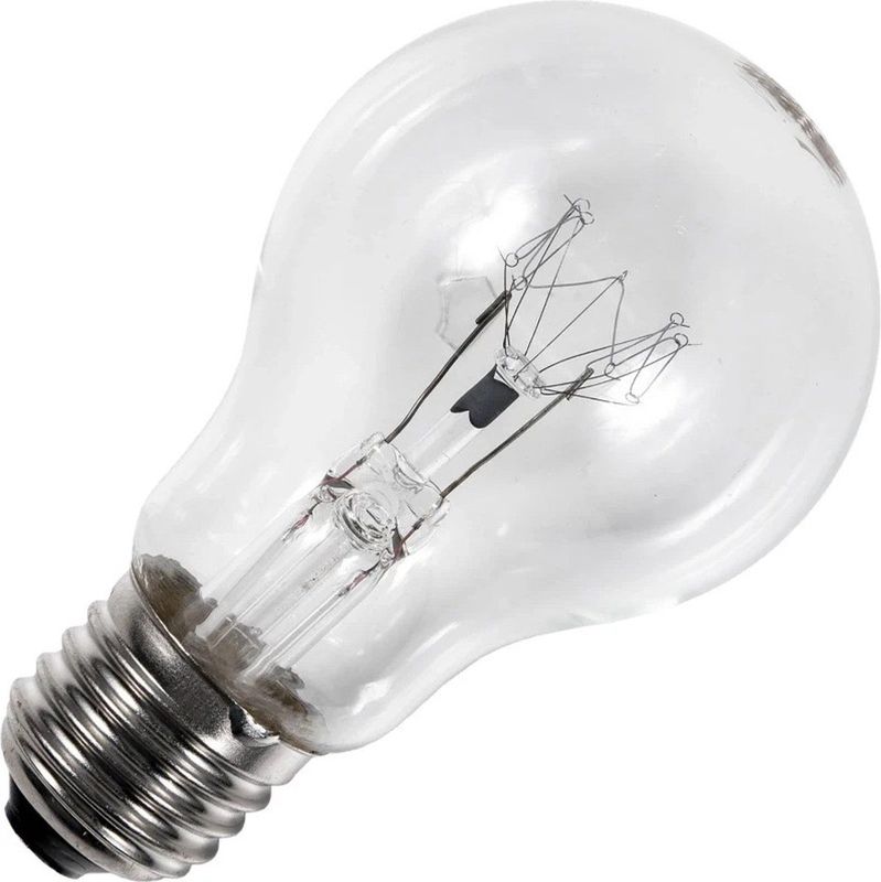 Schiefer - E27 Gloeilamp - 100W - 2700K - Dimbaar - Helder Glas