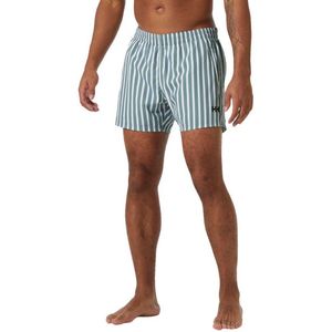 Helly Hansen Newport Zwembroek Grijs XL Man