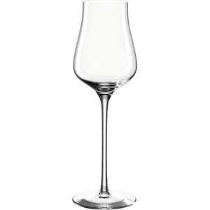 Leonardo Brunelli Grappa glas 210ml - set van 6 glazen