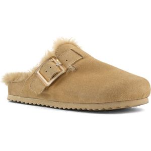Colors of California - Sabot - Camel - Dames - Maat 41