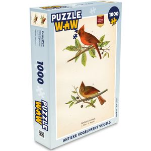 Puzzel Antieke vogelprent vogels - Legpuzzel - Puzzel 1000 stukjes volwassenen