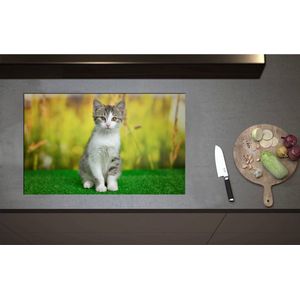 Inductieplaat Beschermer - Braaf Zittende Bruine Kat op Kunstgras - 80x51 cm - 2 mm Dik - Inductie Beschermer - Bescherming Inductiekookplaat - Kookplaat Beschermer van Wit Vinyl