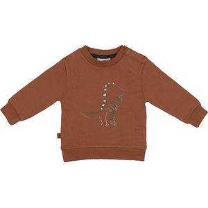 Frogs and Dogs - Dino Park Sweater Dinosaur - Maat 74 - Jongens